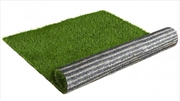 Buy Synthetic 30mm 1mx10m 10sqm Fake Grass