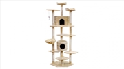 Buy Cat Tree 203cm Scratching Beige