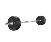 Buy 48KG Barbell Weight Set Plates Bar Bench Press Fitness Exercise Home Gym 168cm