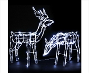 Buy Christmas Motif Lights LED Rope Reindeer Waterproof Solar Powered