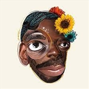 Buy Please Have A Seat - Walnut Brown Vinyl