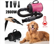 Buy Dog Dryer 2800W High Velocity Pet Dog Pet Blow Dryer Adjustable Speed 4 Nozzles