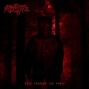 Buy Peek Through The Pines