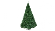 Buy 8ft Christmas Tree 1488 LED Lights - Warm White