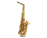 Buy E Flat Alto Saxophone Brass Body