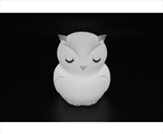 Buy Bedtime Buddy Blinky The Owl