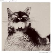 Buy Afraid Of Nothing