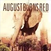 Buy Looks Fragile After All