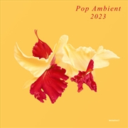 Buy Pop Ambient 2023