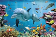 Buy Dolphin Tropical Underwater