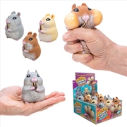 Buy Chonky Cheeks Hamsters (SENT AT RANDOM)