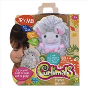 Buy Curlimals Popsy The Mouse
