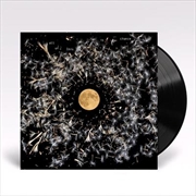 Buy All Of This Is Chance