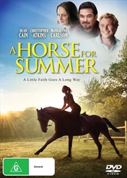 Buy A Horse For Summer
