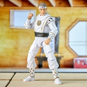 Buy Power Rangers Cobra Kai Lightning Collection Morphed Daniel Larusso White Crane 6” Scale Figure