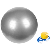 Buy VERPEAK Yoga Ball 65cm (Silver) FT-YB-103-SD / FT-YB-103-ZM