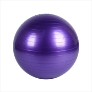 Buy Verpeak Yoga Ball 55cm (Purple)