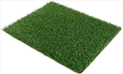Buy Floofi Pet Grass Mat 1 Piece PT-LM-110-FE / PT-LM-110-JL