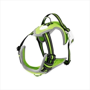 Buy FLOOFI Dog Harness Vest XXL Size (Green) FI-PC-185-XL