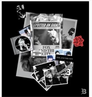 Buy Fox And The City