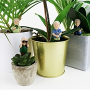 Buy Mini Plant Pot Attenborough Explorers
