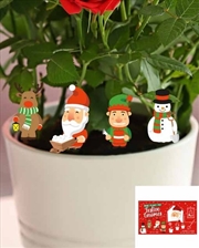 Buy Festive Plant Markers