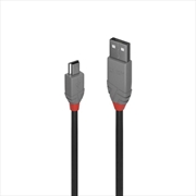 Buy Lindy 2m USB2 A-Mini-B, Anthra Line