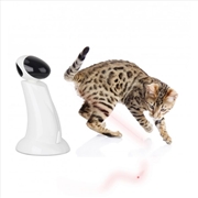 Buy Laser Beam Cat Toy - Interactive