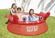 Buy Intex 1.83m X 51cm Happy Crab Pool