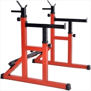 Buy Squat Rack Barbell Rack Dip