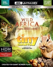 Buy Wild Africa / Tiny Giants