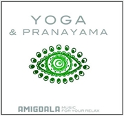 Buy Yoga And Pranayama