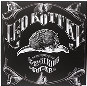 Buy 6 And 12 String Guitar