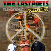 Buy Transcending Toxic Times