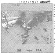 Buy Inscrutably Obvious