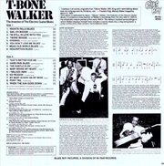 Buy Inventor Of The Blues Guitar