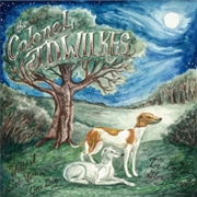 Buy Will I See You Again In God's Glory Land?