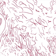 Buy Voices Of Bishara