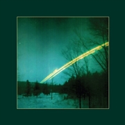 Buy Really Good Spot