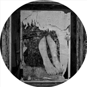 Buy Il Ricordo Improvviso Dellasso