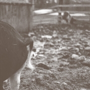 Buy Tomorrow Is Too Late