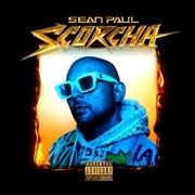 Buy Scorcha
