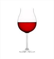 Buy Plumm Vintage Crystal RED B Wine Glass Twin Pack