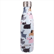 Buy Oasis Stainless Steel Double Wall Insulated Drink Bottle 500ml - Dog Park