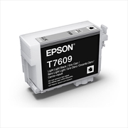 Buy EPSON 760 Light Light Black Ink Cartridge