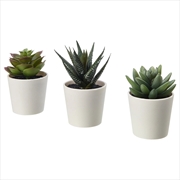 Buy 3 Pack of Artificial Succulent Potted Plants in White Plastic 6cm Pot Interior Decoration