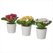 Buy 3 Pack of Artificial Spring Bright Colours Potted Plants in White Plastic 6cm Pot Interior Decoratio