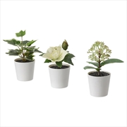 Buy 3 Pack of Artificial Potted Plants in White Plastic 6cm Pot Interior Decoration