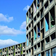 Buy 24 Songs- 3LP's on Grey Colored Vinyl with 2CD's