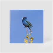 Buy Blue Bird Ep